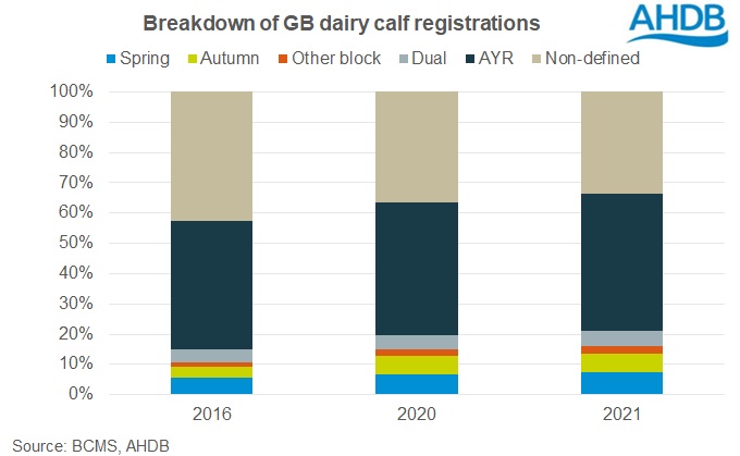 GB calf registrations by system 2021